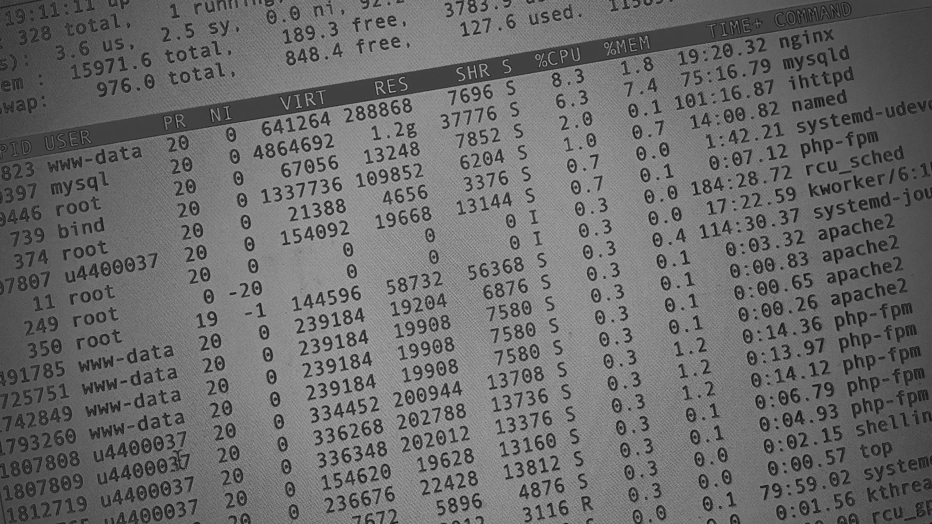 Настройка сервера в Назрани